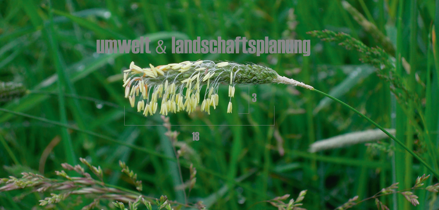 garten und landschaftsplanung